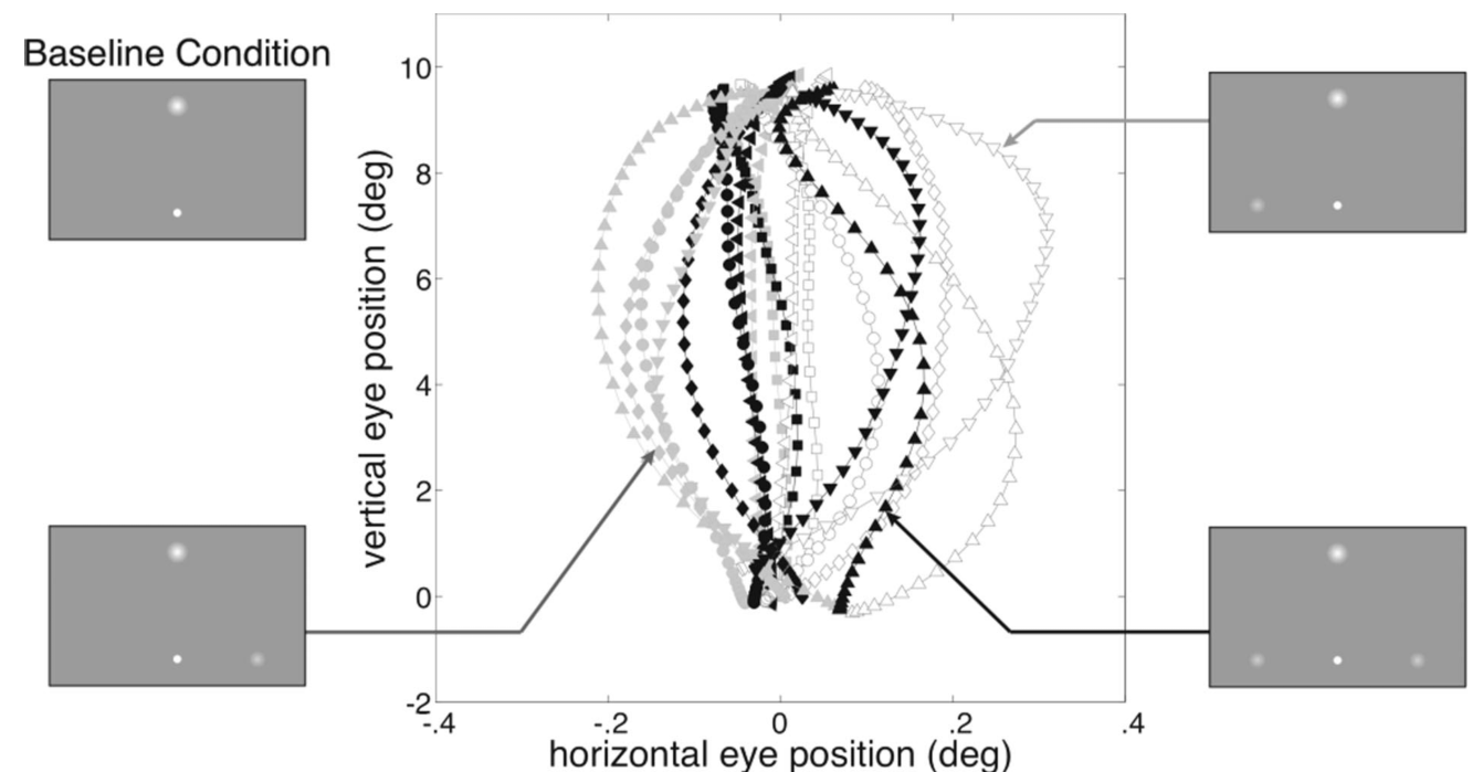 eye movement curvature
